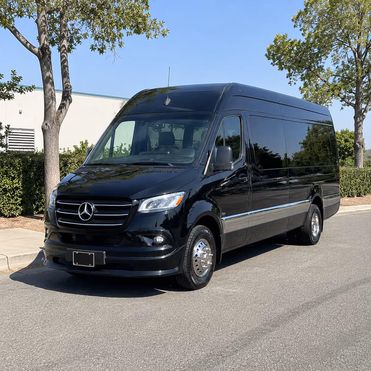 south san francisco wedding transportation